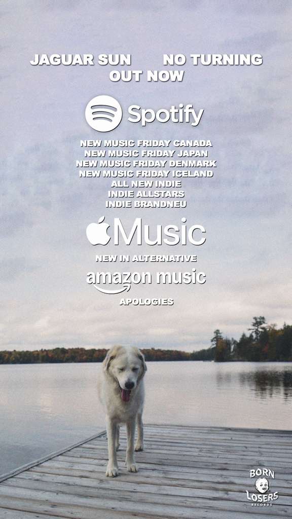 The Royalty Network tweet media