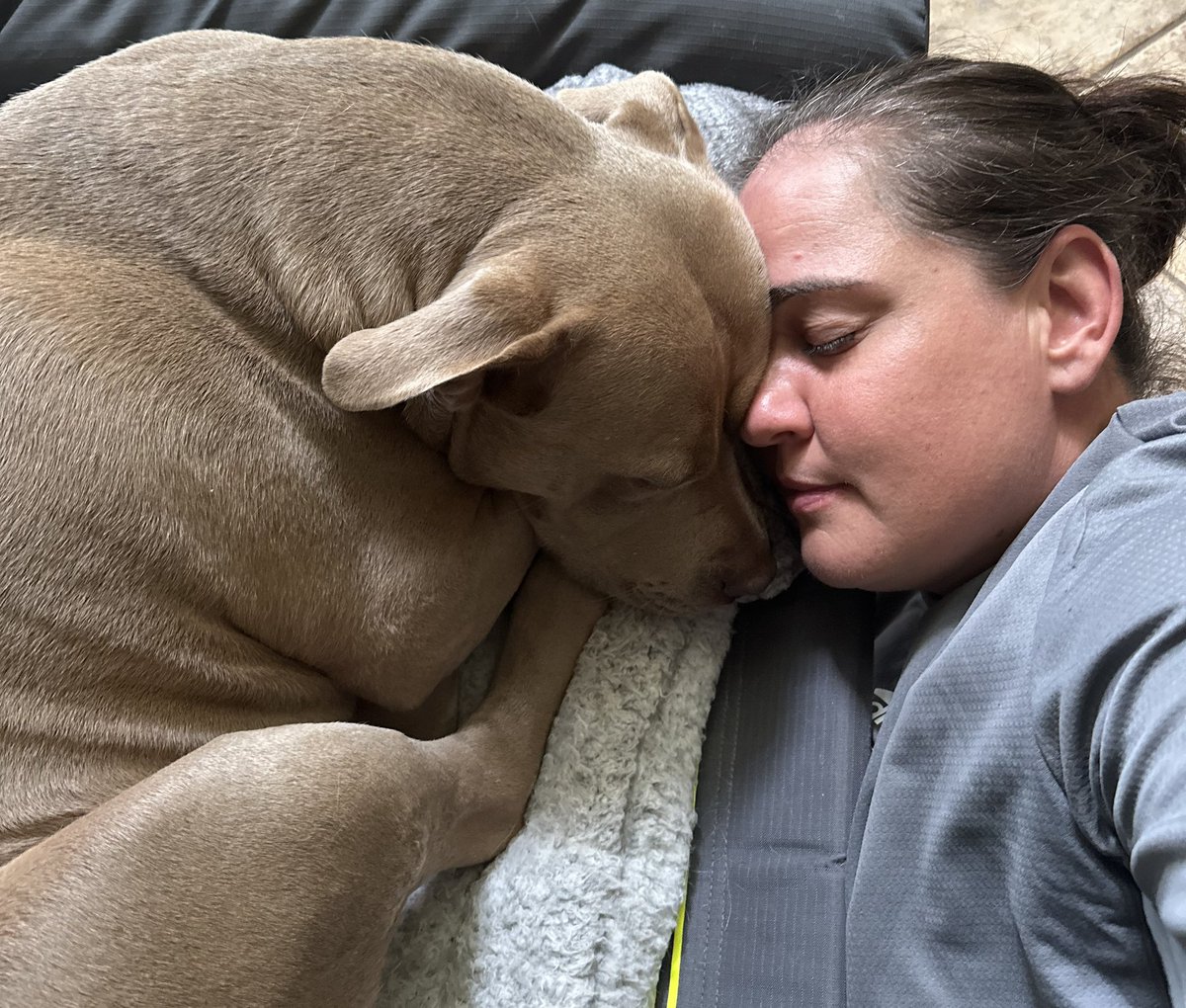 Kirsten Cox tweet media