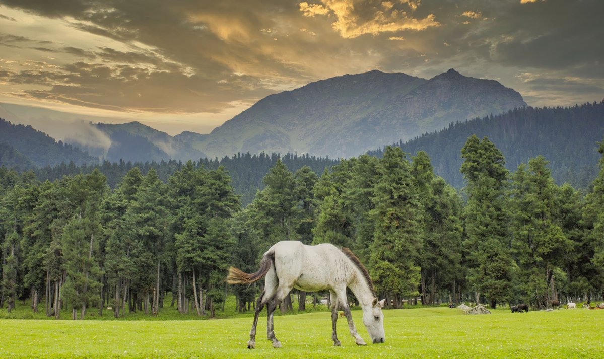 Mohit Mehta tweet media