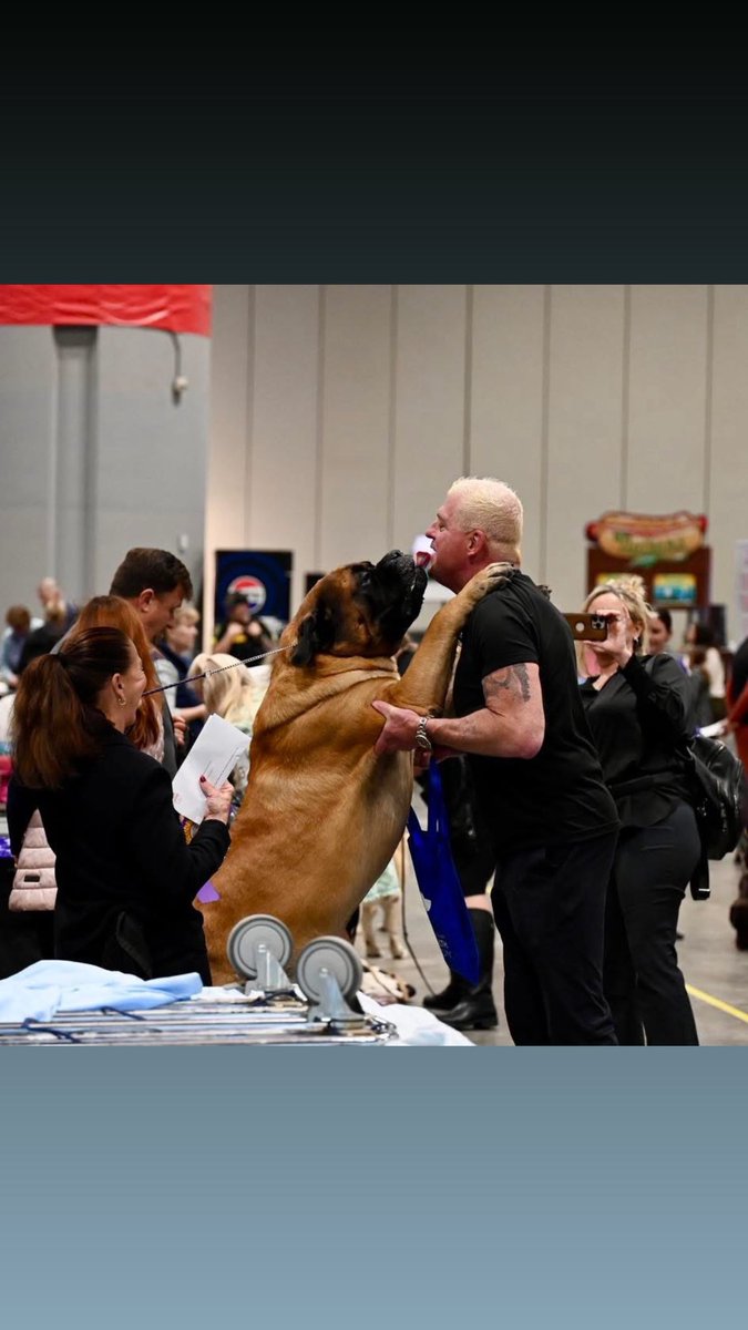 Dustin Rhodes tweet media