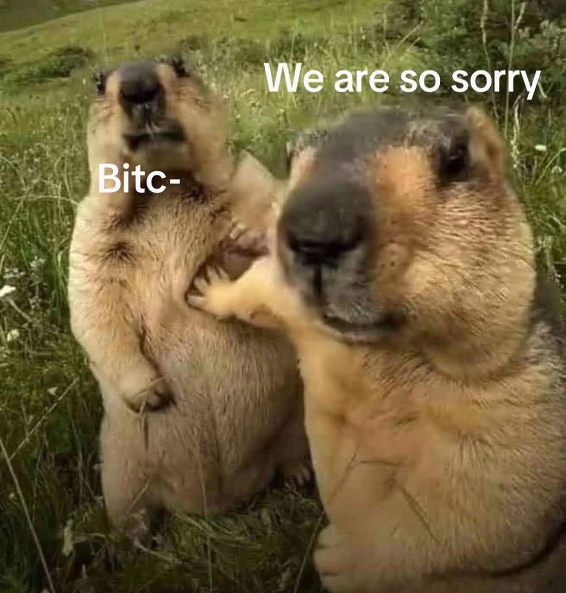 Two types of mods banning a frequent chatter: