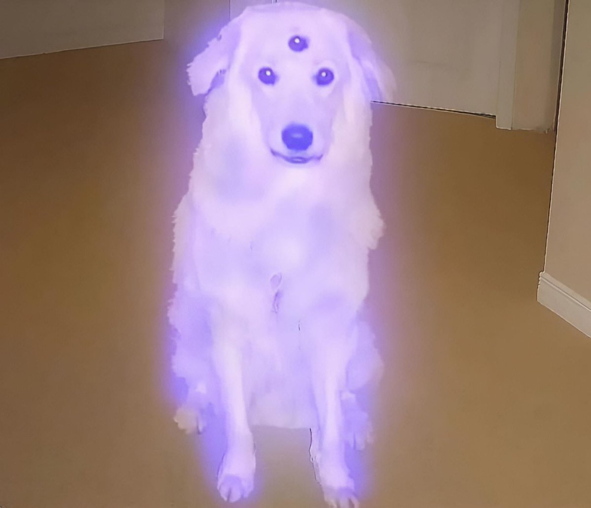 BVIP 🎮💎 tweet media