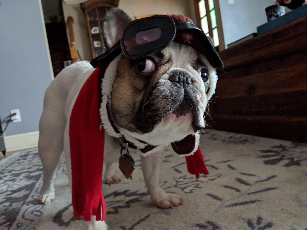 I know a lot of you cared about the little guy, so I just wanted to let you know that we lost Frankie today.