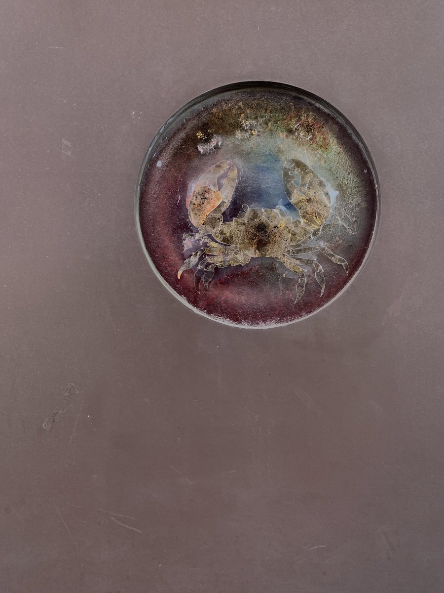 jaimesoler.bsky.social (@jaimesolerf) on Twitter photo 