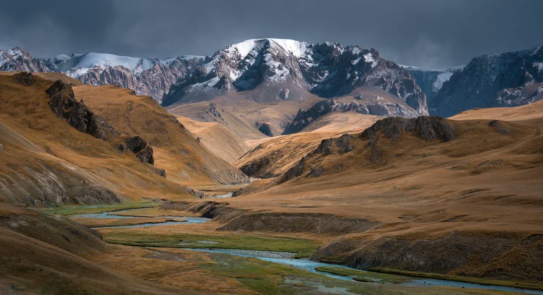 Jez Field tweet media