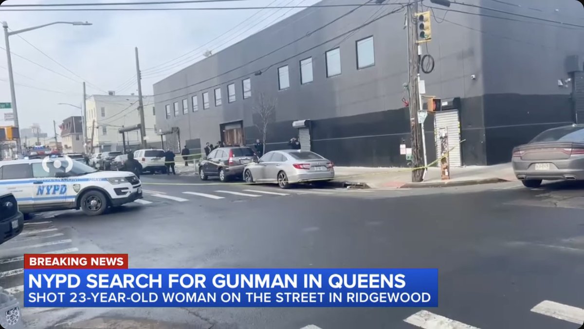Police are searching for the gunman who shot a woman outside a business ...