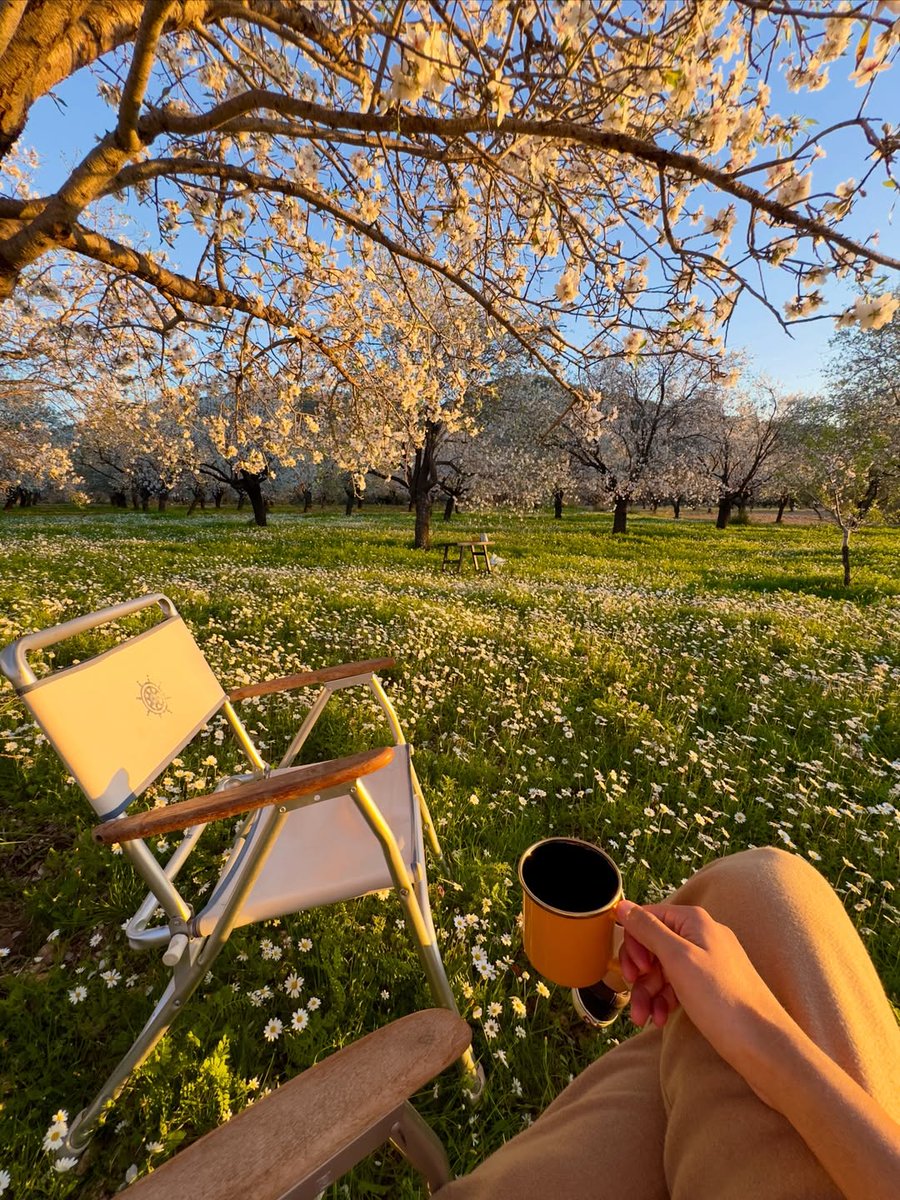 AppartDesign's tweet image. Türkiye