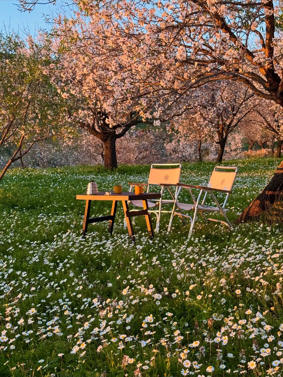 AppartDesign's tweet image. Türkiye