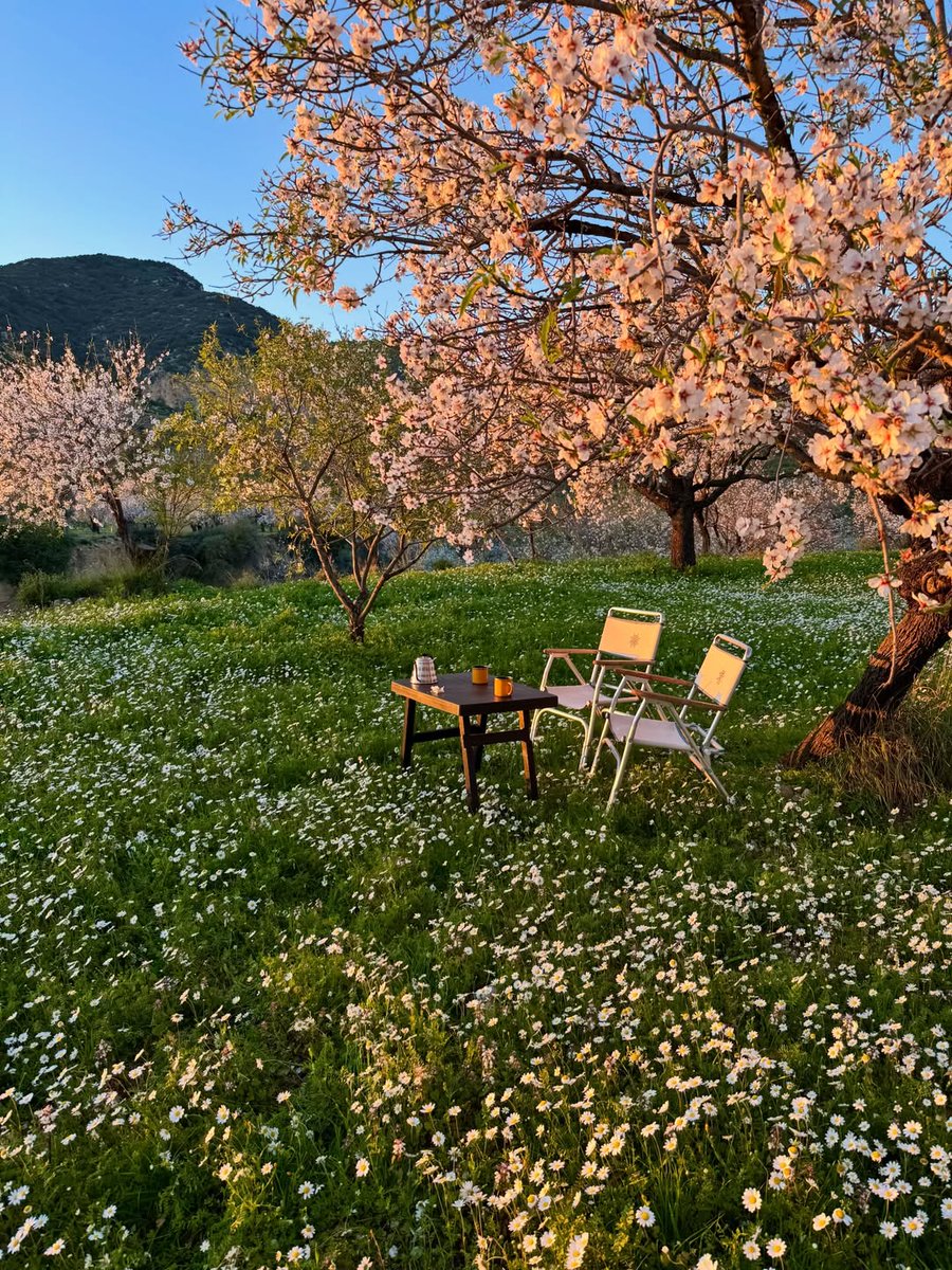 AppartDesign's tweet image. Türkiye