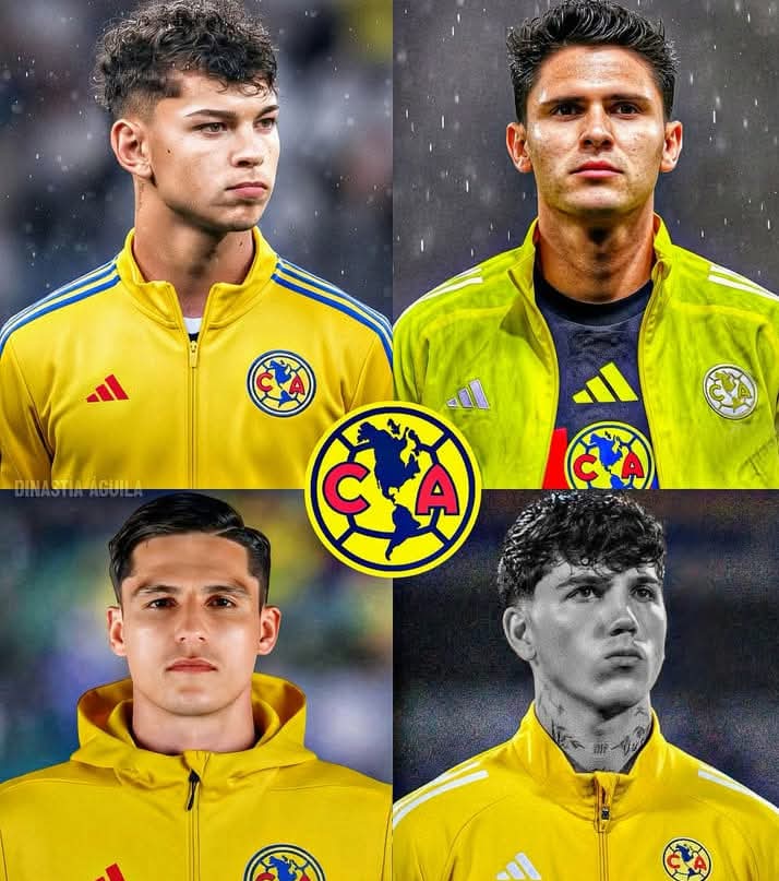 Gato de Tlalpan ®️ 🏆²⁰ tweet media