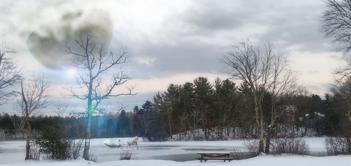 roost24's tweet photo. Art of the Day! "Peaceful". Buy at: https://t.co/b5zM32m0yG https://t.co/bt9Ci1EiZU