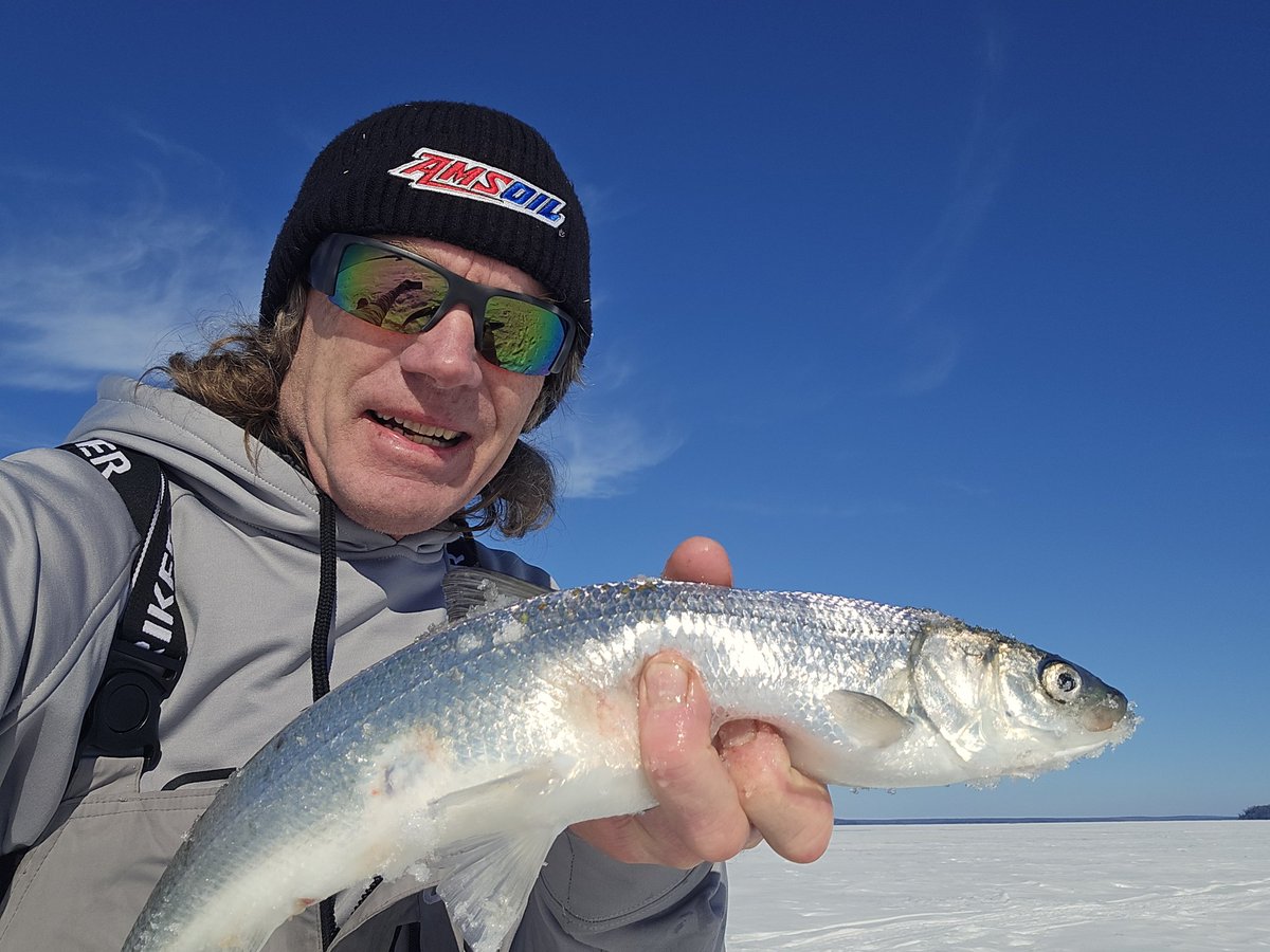 Pete Maina tweet media