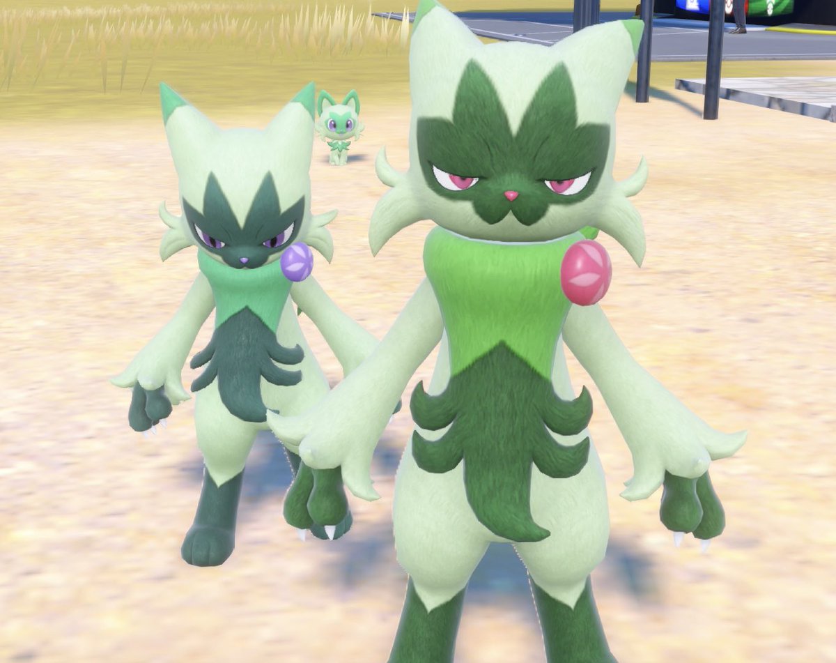 たろー tweet media