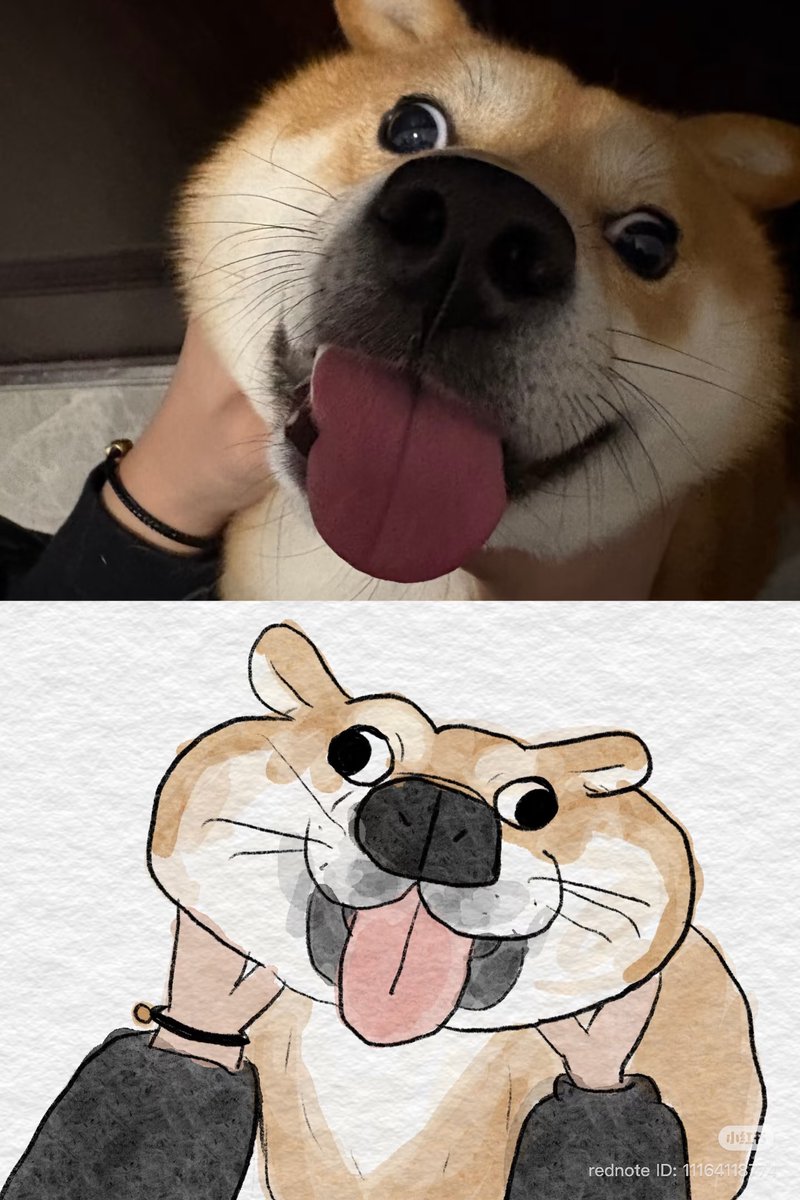 daily post tweet media