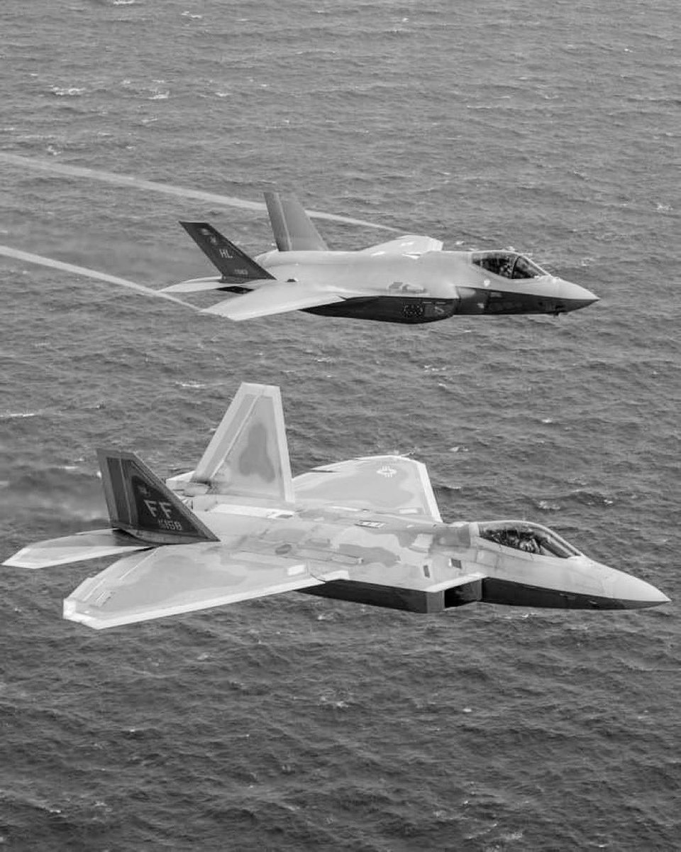 Mr. Pool 2.0 tweet media