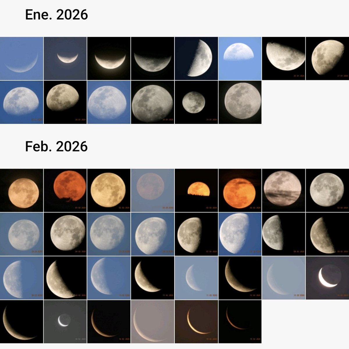 Julia Muñoz tweet media