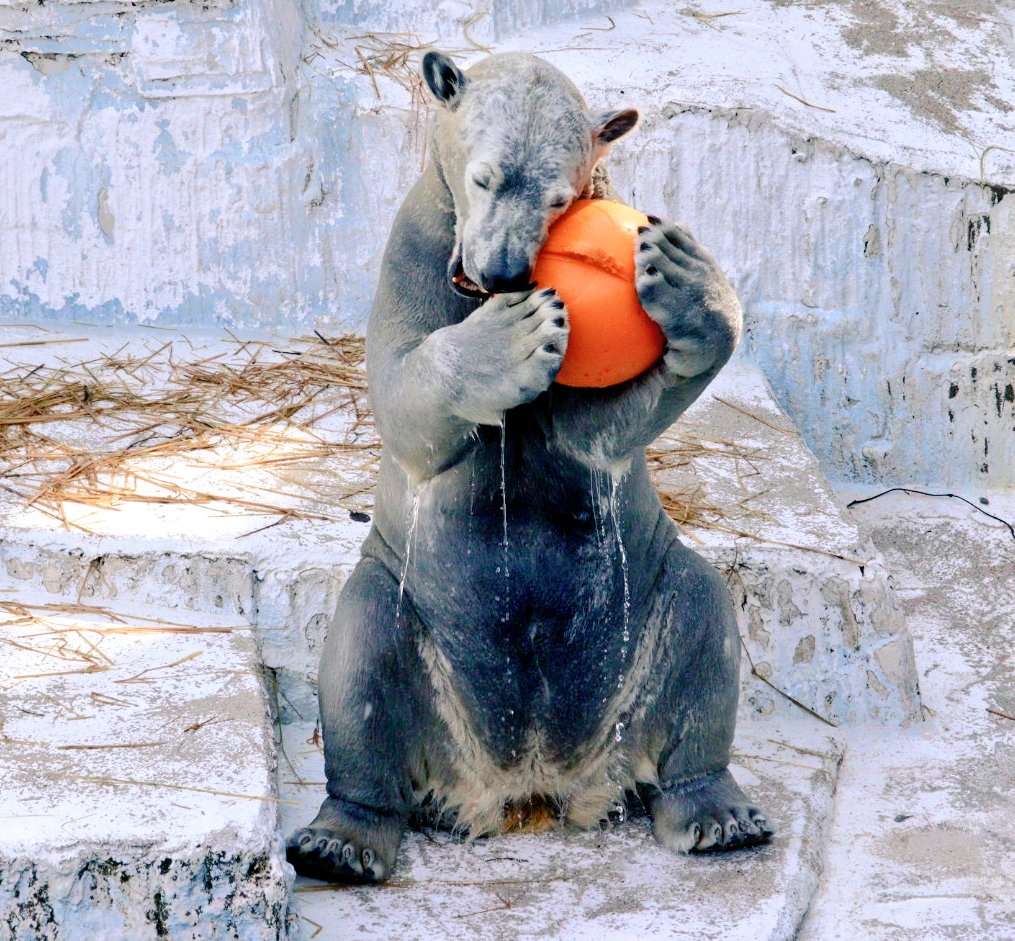 おはよーございます😊
かわいいホウちゃんで
1日が始まります
2026.2.18