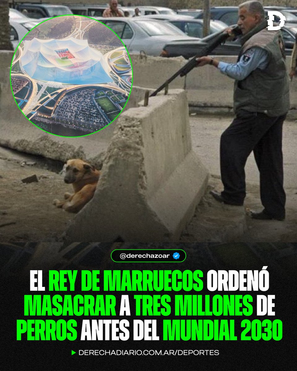 🇲🇦🚨 HIJOS DE PUTA: El rey de Marruecos ordenó masacrar a 3 millones de perros callejeros antes del Mundial 2030 para "limpiar las ciudades".

‼️ Entre los métodos de asesinato se encuentran: dispararles en la calle, envenenarlos, quemarlos vivos y ahogarlos en jaulas.