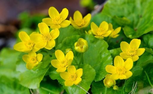 もん・ぱっち tweet media