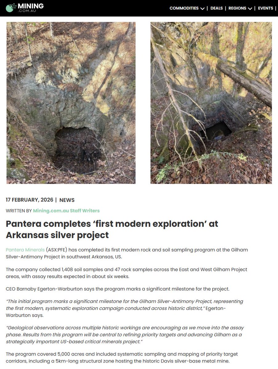 Pantera Minerals tweet media