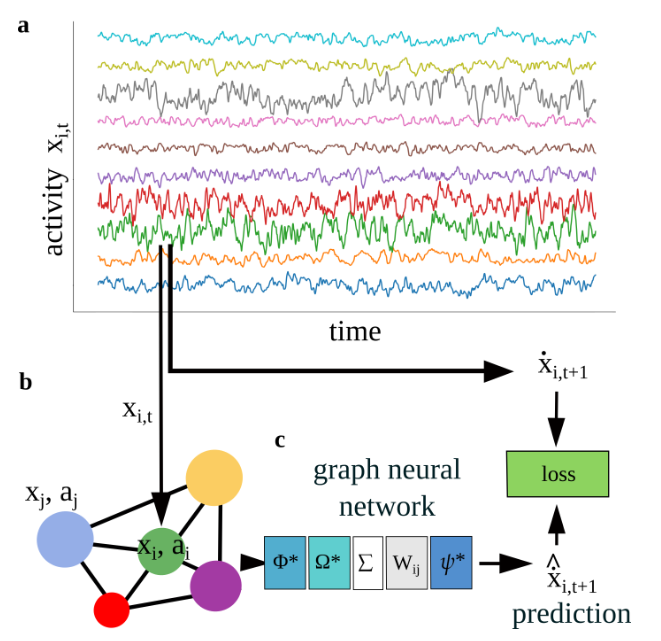 Allierced's tweet photo. Graph neural networks uncover structure and functions underlying the activity of simulated neural assemblies 
https://t.co/tUBDfGJ6ee
https://t.co/YA03fcfKtw
@HHMIJanelia https://t.co/caP49oAIFj
