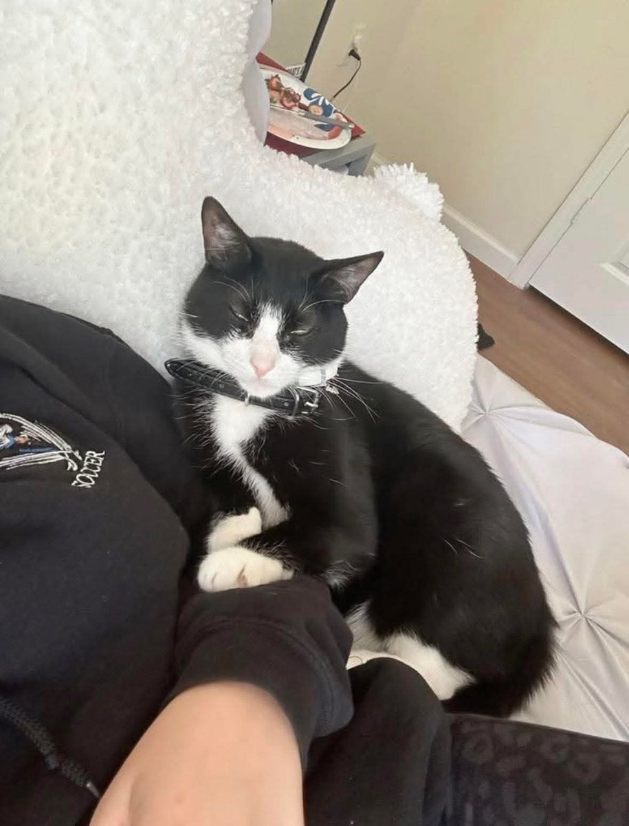 Sofia🇵🇰 tweet media