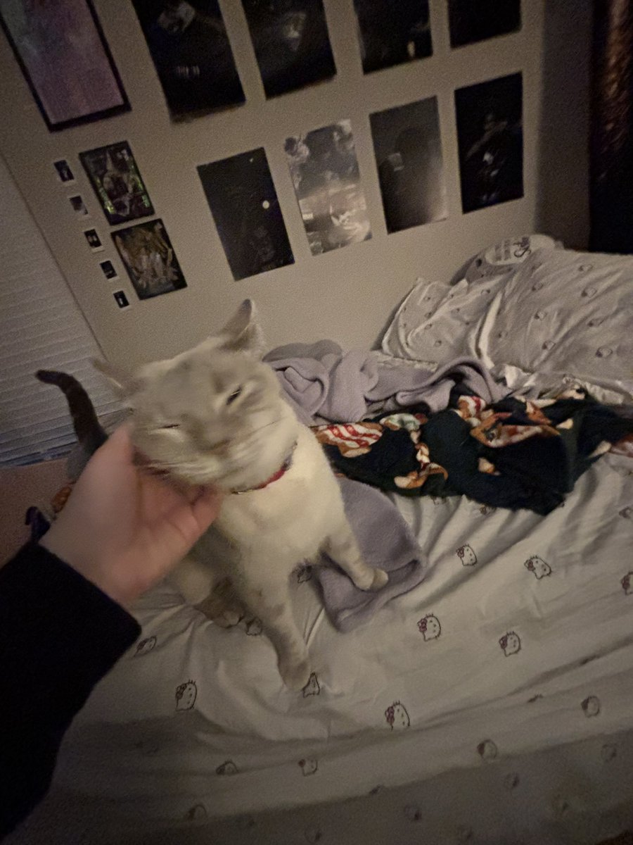 osiris_splash's tweet photo. osiris post-escaping the apartment and worrying tf out of me https://t.co/hY3sR5v79X