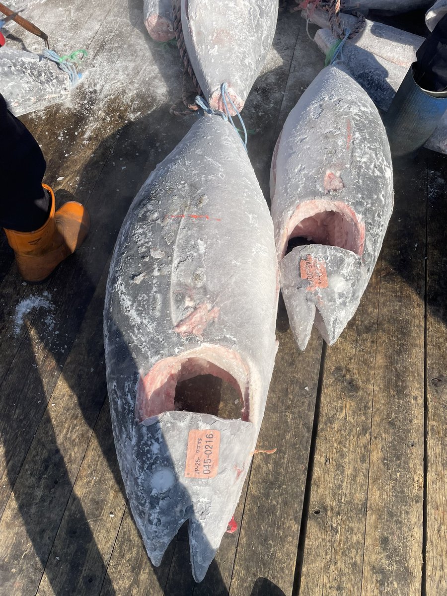 日本の食卓へ届け