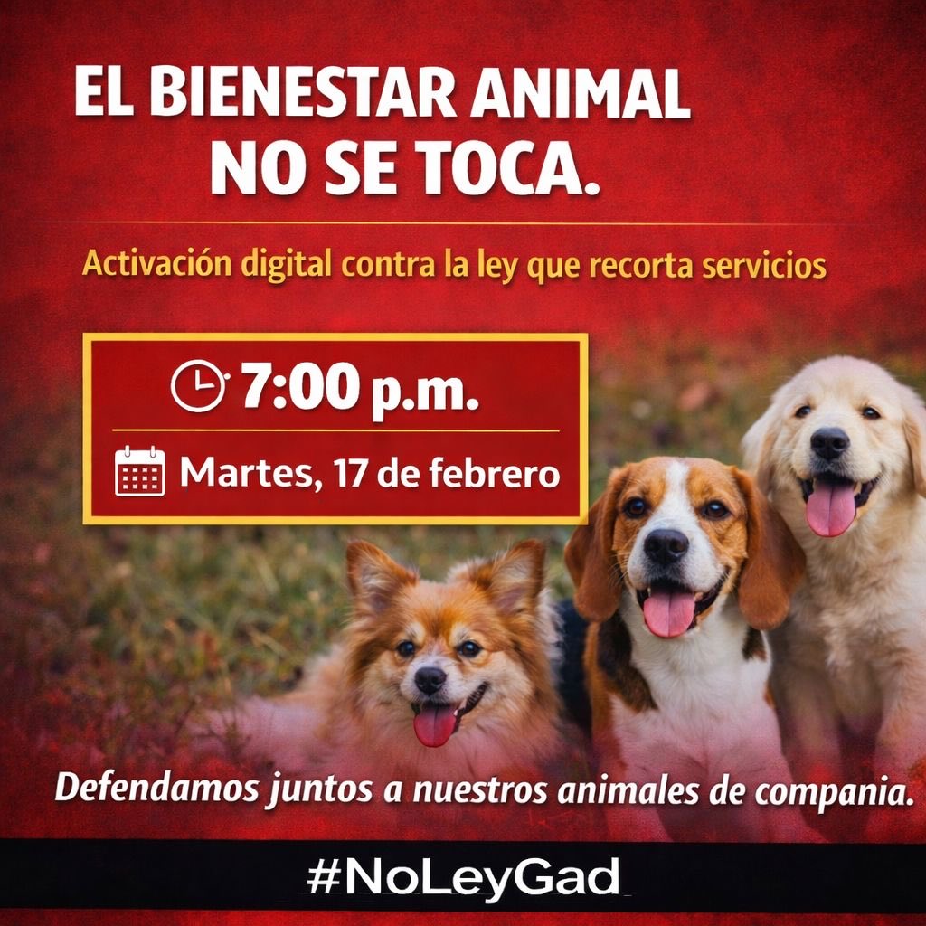 paomerazam's tweet photo. NO a la ley que va a detener lo único que está funcionando en este país, que son los servicios de los gobiernos locales! #NoLeyGad @AsambleaEcuador @DanielNoboaOk @BancadaADN @PKnacional18 @RC5Oficial https://t.co/RiXYO04Nva