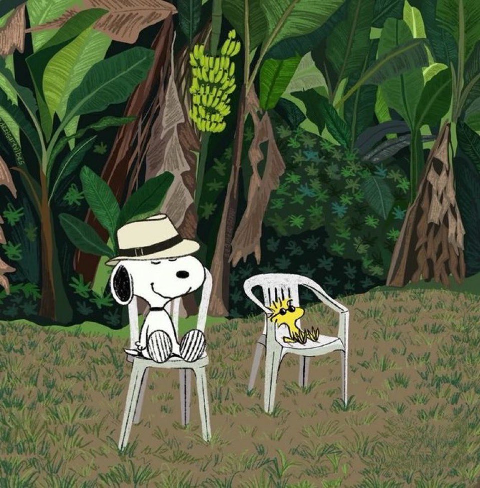 Snoopy (@snoopyb047) on Twitter photo 