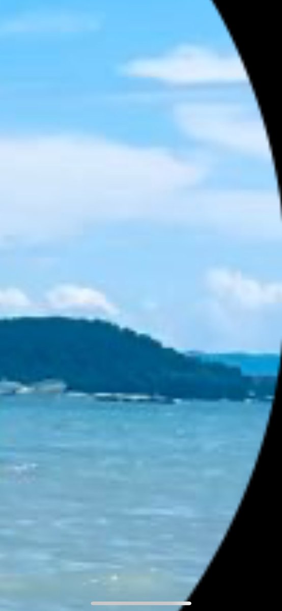 DJBEACHHEAD tweet media