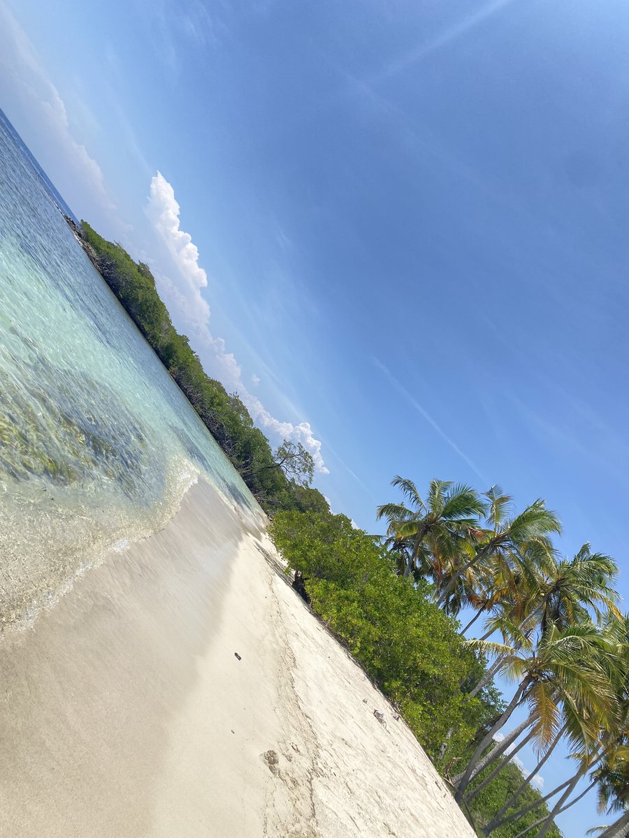 Me quedo con mi #Morrocoy en temporada baja, sin marginales nuevos ricos destruyendo todo el ecosistema 🙂