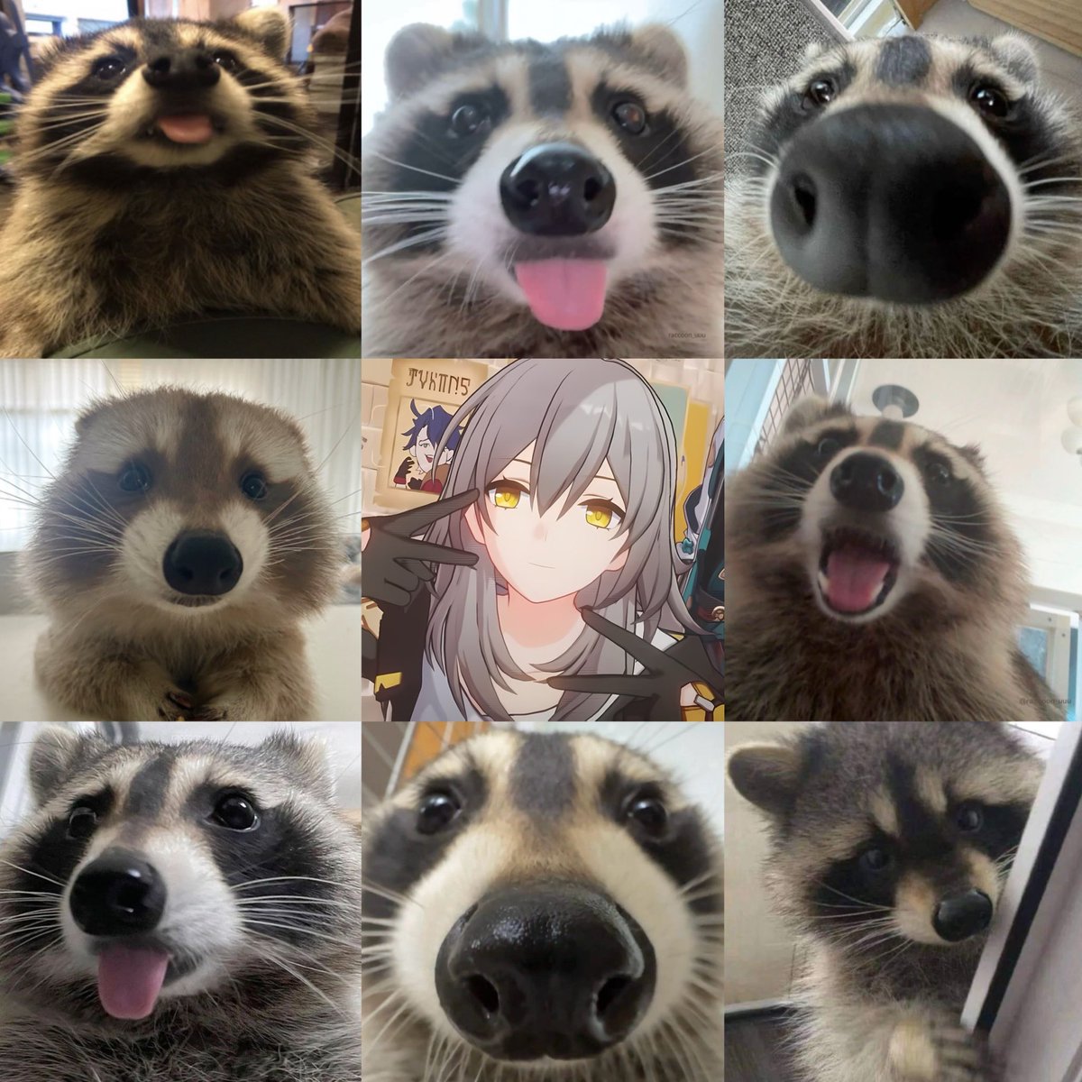 my stelle variants 😋🌟