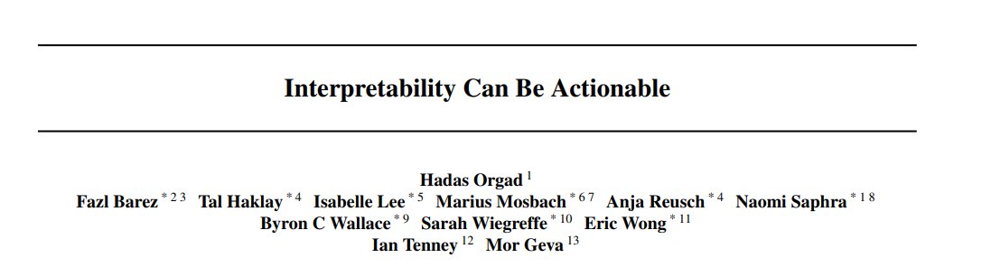 Hadas Orgad tweet media