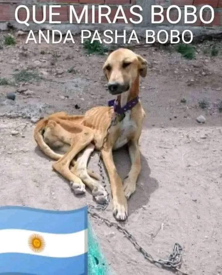 Luca Blight tweet media