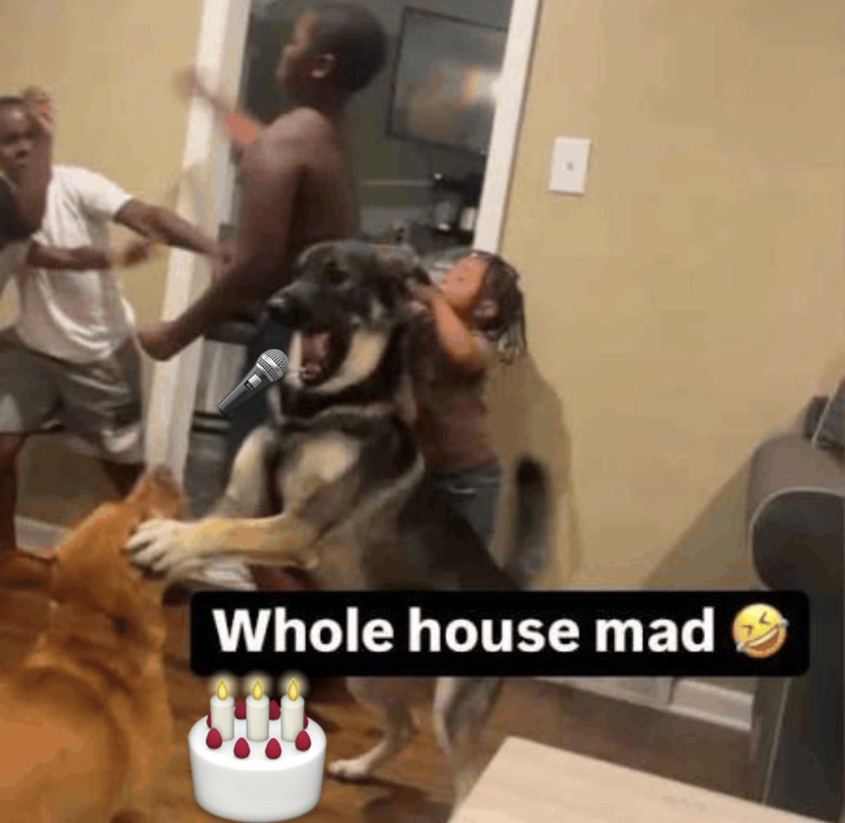 last 10 mins of tell me lies series finale without context.