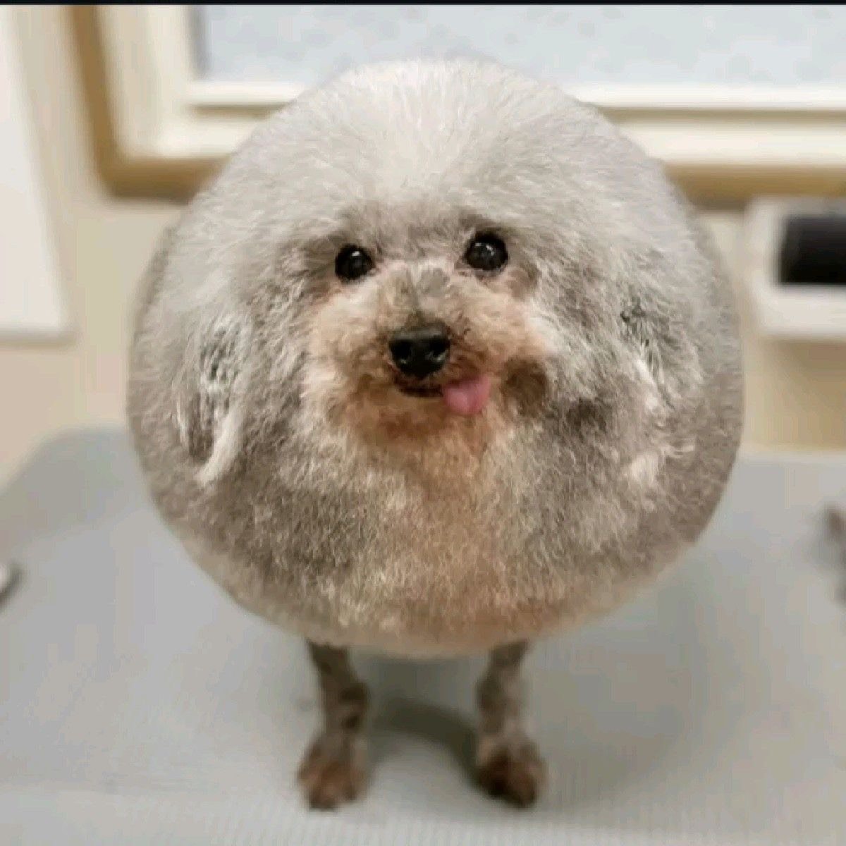 Fatty420 tweet media