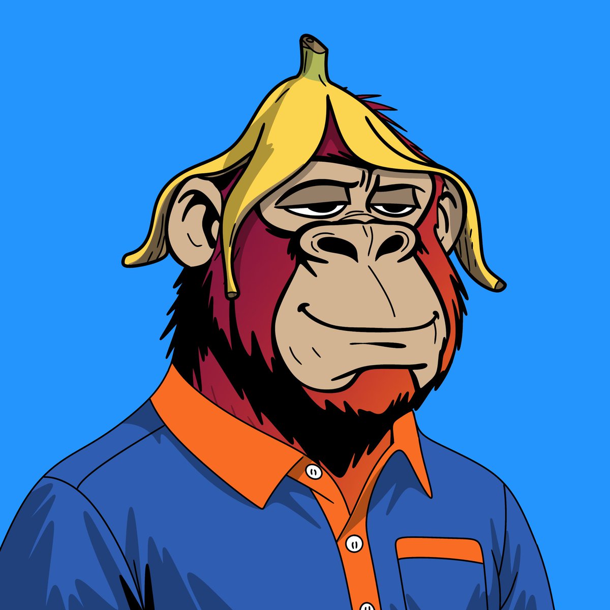 notsobasicapes's tweet photo. Not So Basic Apes is officially live. 🦍

1,500 gorillas.

ApeChain native.

If you’ve been waiting for something that actually hits different…

You’re early. https://t.co/24SA3jBmrx