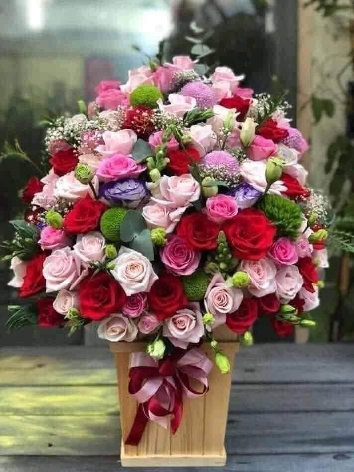 Anelys Ramírez González tweet media