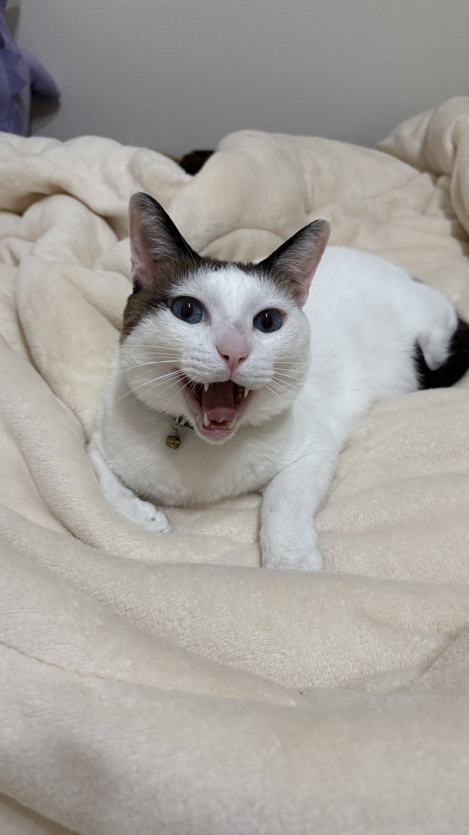 いってらっしゃい！