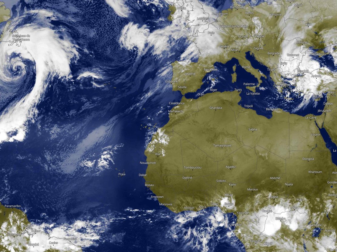 حاليا بدون تعليق