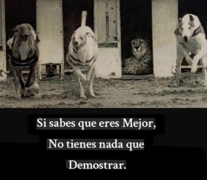 °•iLoveRindou•° tweet media