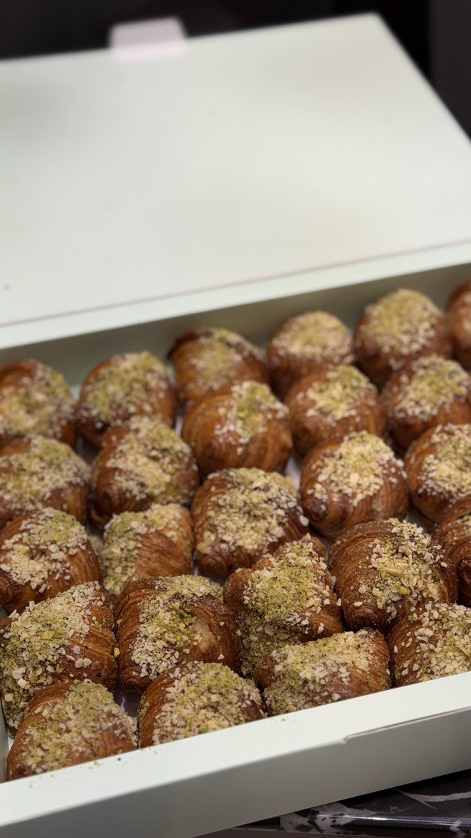 طارق باشا ☕️ tweet media