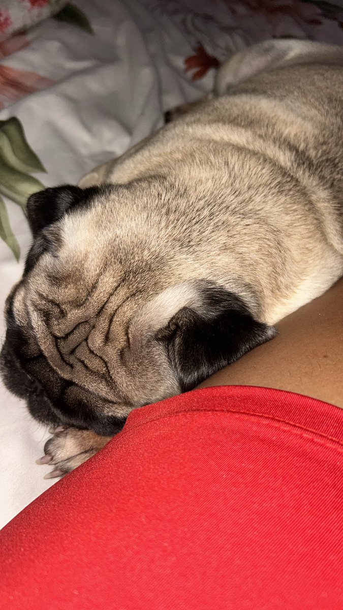 Scrapcoco2's tweet image. Amor da minha vida ❤️