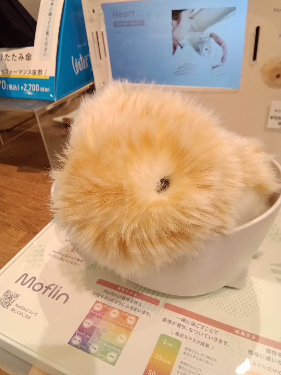 公式】Moflin（モフリン）｜感情が育つAIペット (@casio_moflin