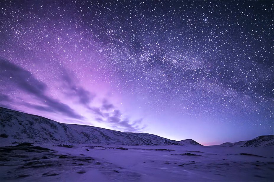 aesthetic tweet media