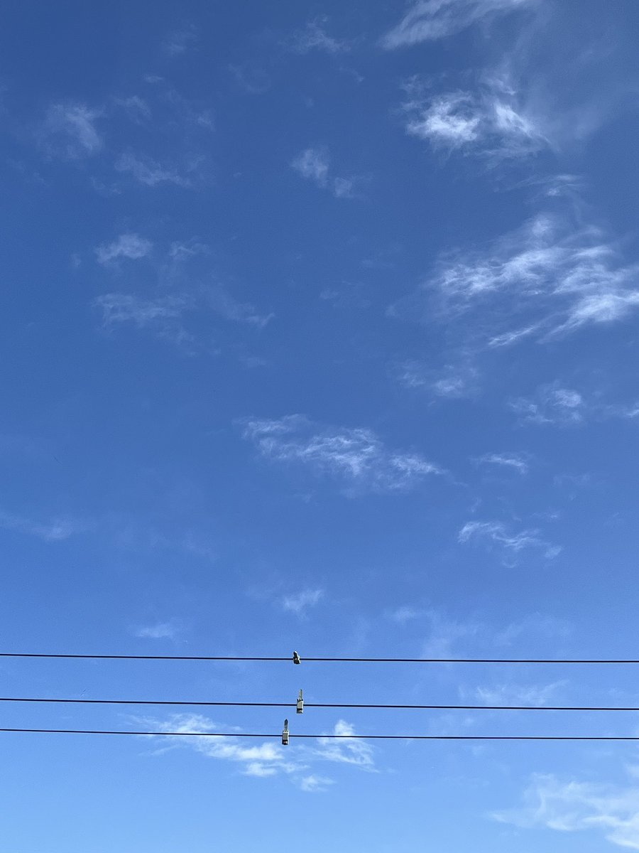 おはようございます☀️
滋賀県南部の天気は晴れ☀️

ええ天気です！
何かイベントやりたいなぁって思う今日この頃です🤔

#企業公式が地元の天気を言い合う 
#企業公式相互フォロー 
#企業公式さんと繋がりたい