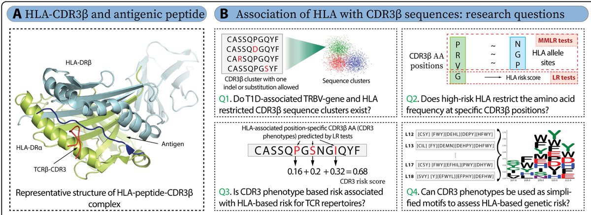 UF Diabetes Institute tweet media