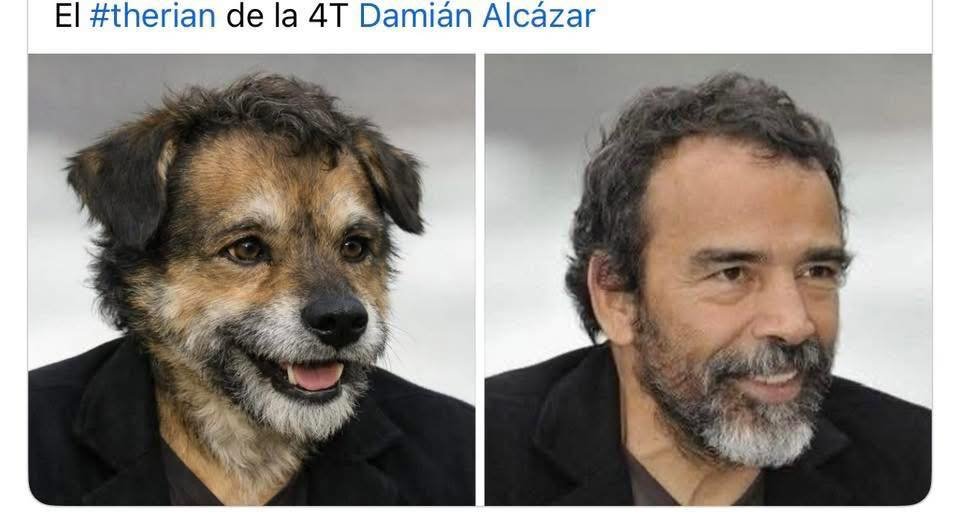 GARCIPAVON's tweet photo. Y mientras, el therian de la 4 deformación, uno de los más croqueteros 🐶