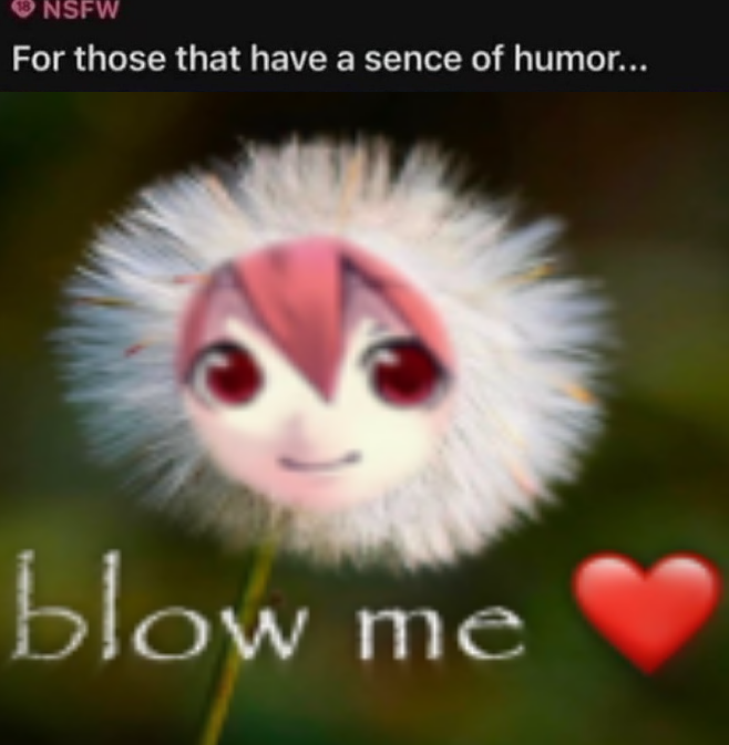 mtndooop tweet media